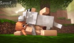 2016_2020_Short_Animations_Compilation_18_Minecraft_ORIGINAL_SlipperyT