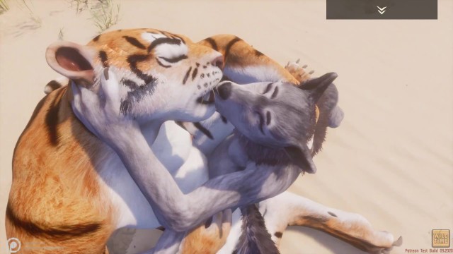 Wild Life / Lesbian Furry New Tiger With Wolf Porn Video