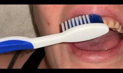 Let’s play dentist