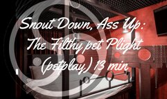 Snout Down, Ass Up: The Filthy pet Plight (petplay) 13 min