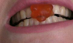 The bears don't stand a chance MOV FULL HD 1080p