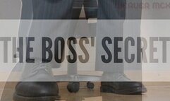 THE BOSS' SECRET