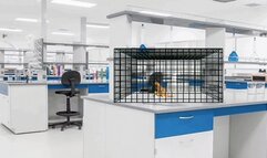 experiment goes wrong, giantess takes revenge #14