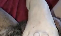 Footjob and Toe Fuck Quickie