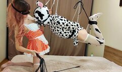 This flying cow needs to be milked