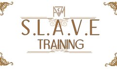 AVM SLAVE Training