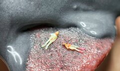 Unaware Giantess eats food flavored with tiny men (MP4)