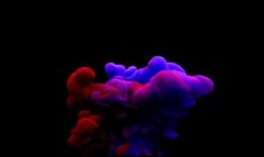 Solo Drooling & Twitching