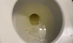 Toilet Fetish - Teenie Swims in Giantess Giant Toilet Full of Pee, femdom, mindfuck, shrinking fetish 4k