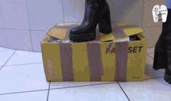 Inflatables and Balloons for Lady B