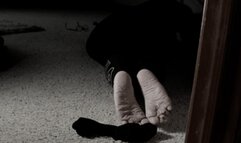 Look And Beocme Horny, 2nd