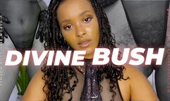 Divine Bush