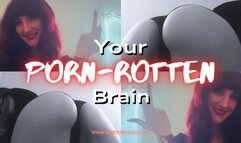 Your Porn-Rotten Brain