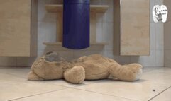 Teddy crushed under Boots