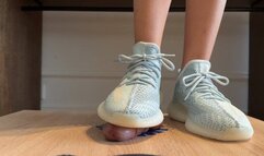 Adidas Yeezy sneaky job on the Cockbox with cum block