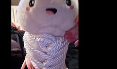 Nude Sockjob for a plushie - Fun for tied plush penis - Feet worship in ankle socks