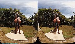 VR180 3D - Mio's Big Boobs in a striped Black and White Bathsuit (Clip No 2705 - wmv version)