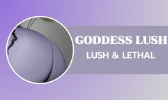 Worship My Chocolate Throne