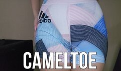 Cameltoe pants
