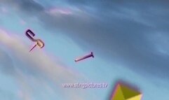 Workshop Whooping's 2 HD SMALL SIZE