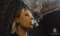 Fresh pack of cigarettes 4K MP4