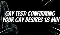 Gay Test: Confirming Your gay Desires 18 min