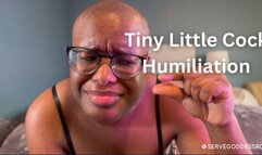 Tiny Little Cock Humiliation - Royal Ro SPH hd mp4 1080p
