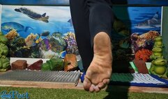 Barefoot Walk On Nails and Spikes