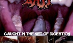 [HD irl vore] BAIT: CAUGHT IN THE NET OF DIGESTION- unaware giant gulps you whole into his churning belly ??VOICED VERSION??