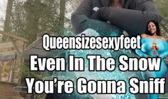 Even In The Snow You’re Gonna Sniff These Stink Feet