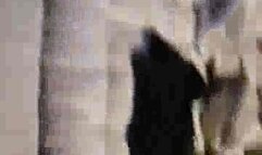 My Hot Wife Jackie going bareback with a stranger’s bbc