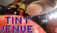 Giantess Crew – CJ Tiny Venue