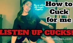 Cuck Rules: Earn your Place - Mistress Kayla
