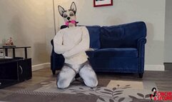 MinxGrrl - Bad PupGirl Gets Straitjacket and Gag! (WMV Format)