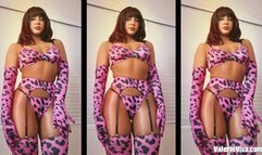 Pink Leopard Overload