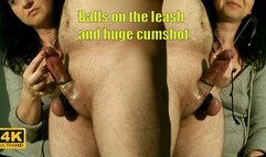 779 - Tied balls and ruined orgasm 1080p 60fps