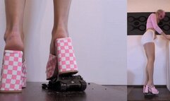 Mylu Model Tank Crush