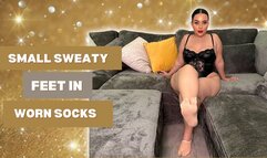 Sweaty Small Feet in Worn Socks – Foot Fetish
