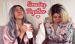 Sneezing Together - Sneezing Attack Compilation