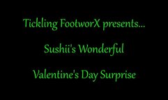 Sushii's Wonderful Valentine's Day Surprise