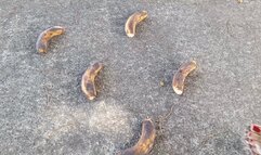 I crush, trample and crush with my platform heels (3)