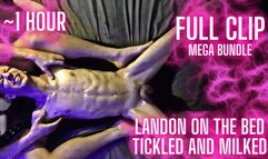 Landon Spread-Eagle and Tickled (FULL MEGA-BUNDLE)