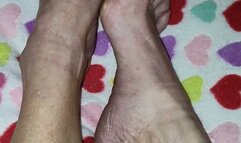 Tempest calves on heart blanket