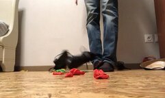 Popping balloon with golf shoe's