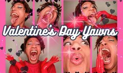 Hildy's Huge Valentine's Day Yawns!