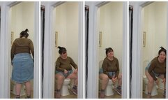 PEE PS Coordinates - GREENLAND TOILET