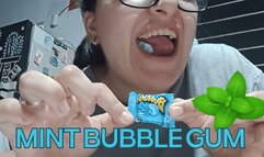 CHEWING MINT GUM