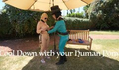 A Day with Beauty: Cooldown 4K