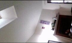 vore - You are a tiny human human In Giantess MXDominion's Home, you are Immediately discovered and begin your journey through her digestive system POV, female domination, shrinking fetish, mouth fetish 1080