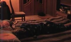 Amateur Old Couple Fucks In Bed After Party